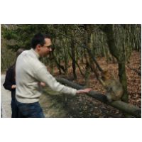 x0_affenberg079.jpg