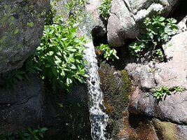 IMG_20170622_153056