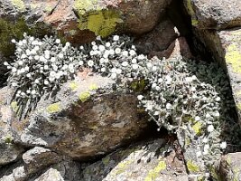 IMG_20170622_153132