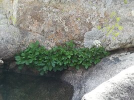 IMG_20170622_153221