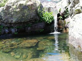 IMG_20170622_153231