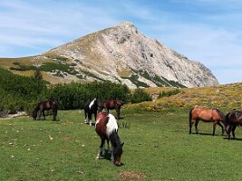 IMG_20170623_113809