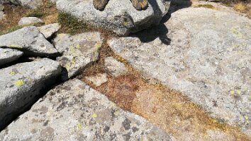 IMG_20170623_114958