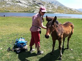 IMG_20170623_121444