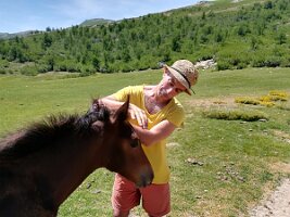 IMG_20170623_121623