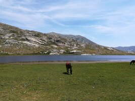 IMG_20170623_121644