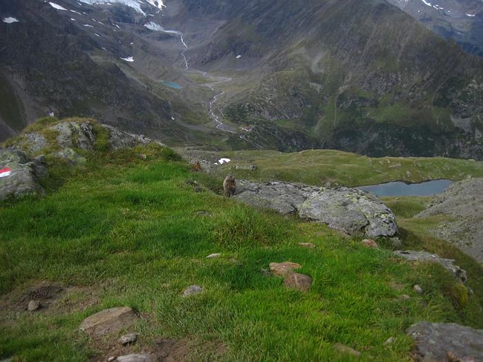 stubai57