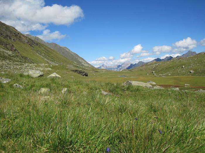stubai79