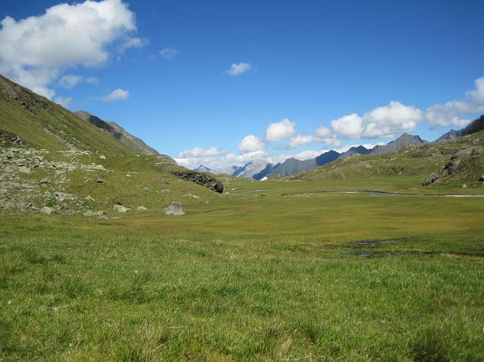 stubai80
