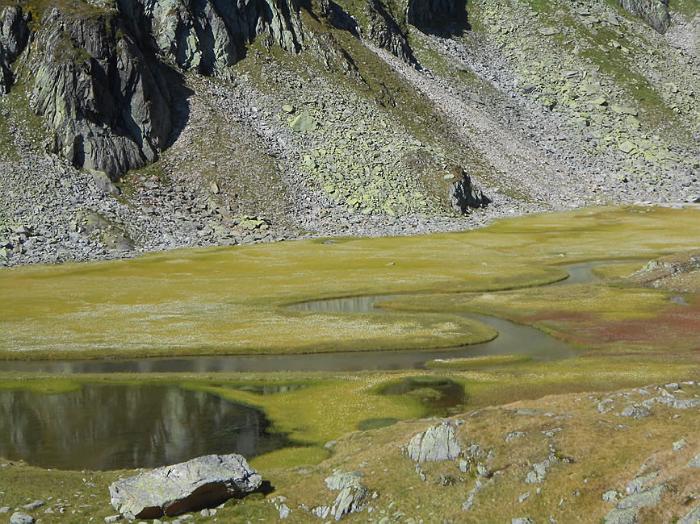 stubai83