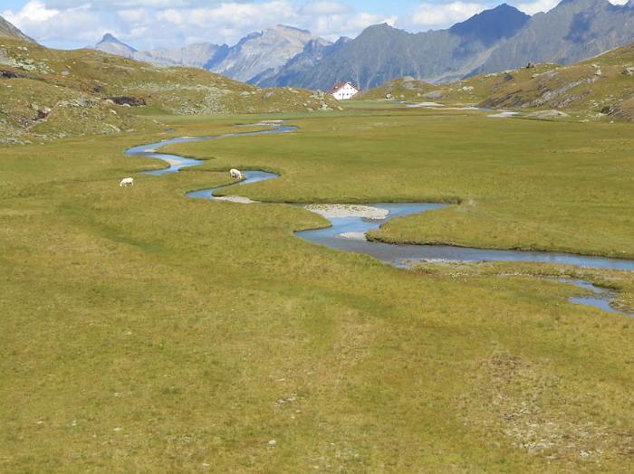 stubai93
