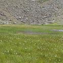 stubai17