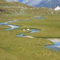 stubai95