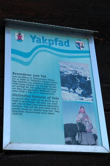yakweg-115