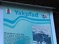 yakweg-115
