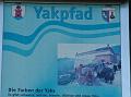 yakweg-116