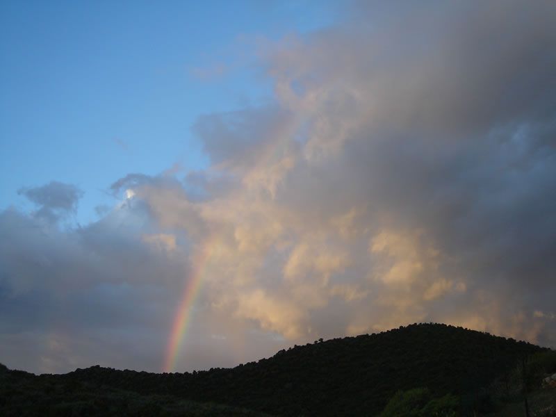 Korsika08-153.jpg