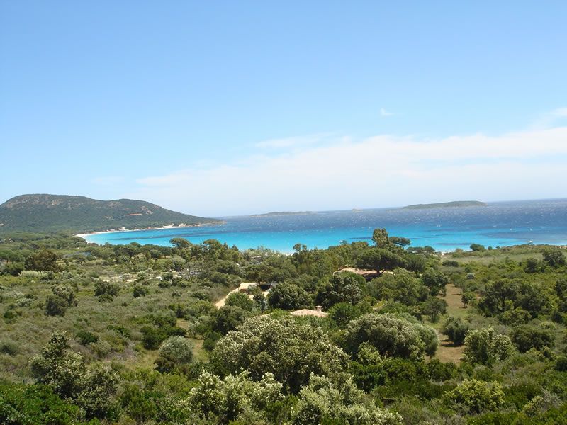 Korsika08-155.jpg