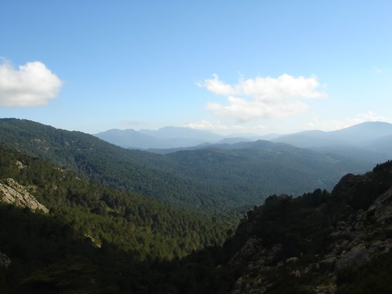 Korsika08-306.jpg
